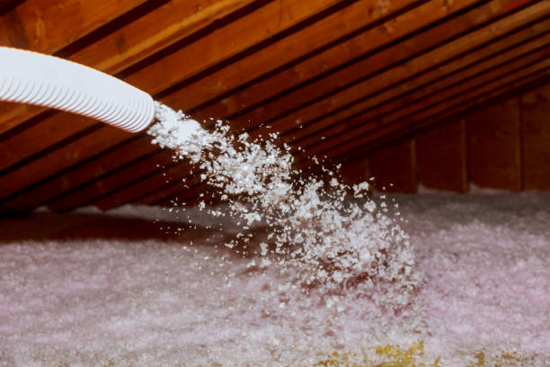 Best Insulation for Specific Applications in Fowlkes, TN