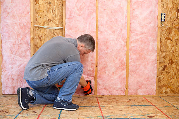 Best Insulation Maintenance and Repair in Fowlkes, TN