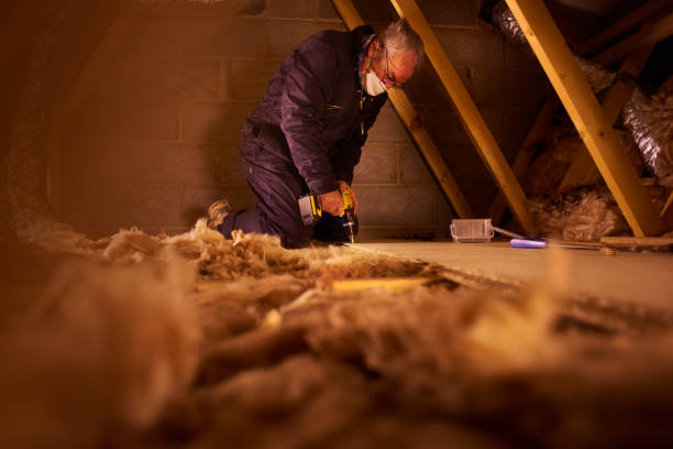 Best Blown-in Insulation in Fowlkes, TN